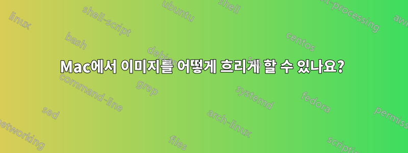 Mac에서 이미지를 어떻게 흐리게 할 수 있나요?