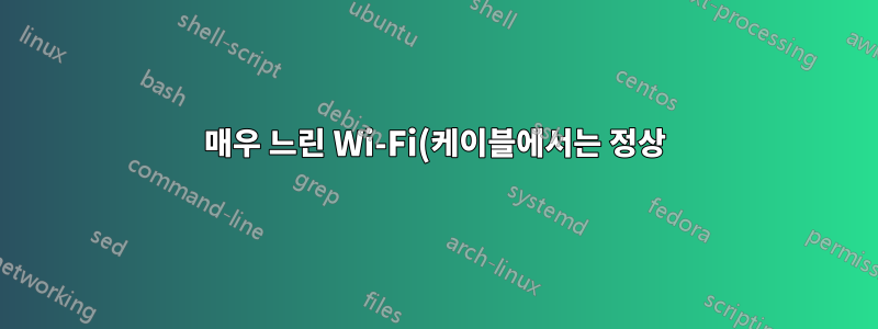 매우 느린 Wi-Fi(케이블에서는 정상)