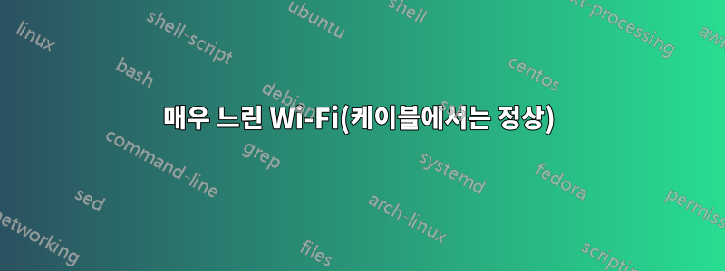 매우 느린 Wi-Fi(케이블에서는 정상)