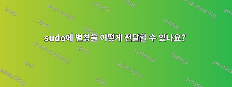 sudo에 별칭을 어떻게 전달할 수 있나요?