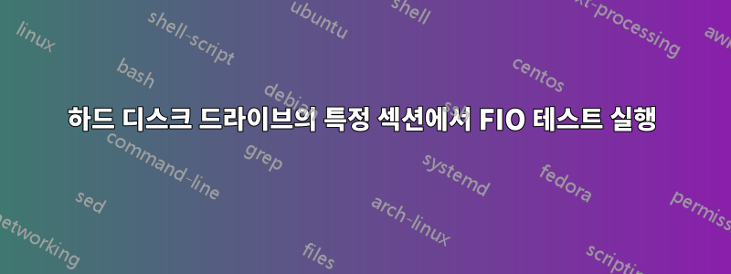 하드 디스크 드라이브의 특정 섹션에서 FIO 테스트 실행