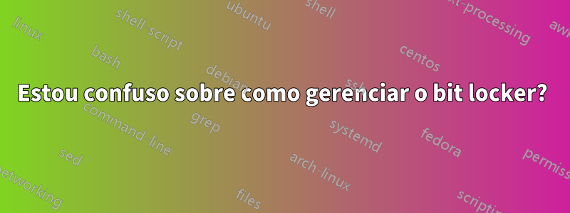 Estou confuso sobre como gerenciar o bit locker?