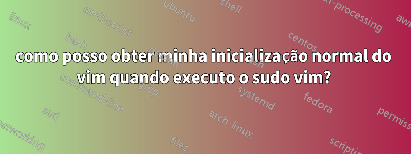 como posso obter minha inicialização normal do vim quando executo o sudo vim?