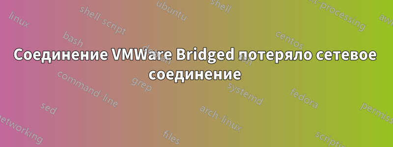 Соединение VMWare Bridged потеряло сетевое соединение