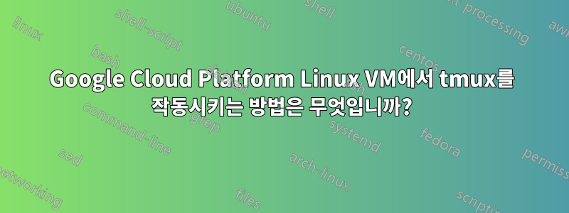 Google Cloud Platform Linux VM에서 tmux를 작동시키는 방법은 무엇입니까?