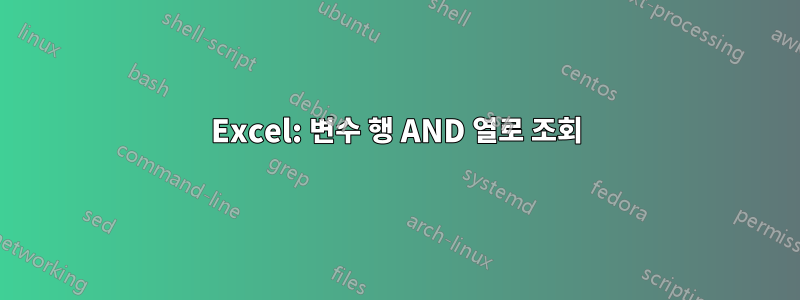 Excel: 변수 행 AND 열로 조회