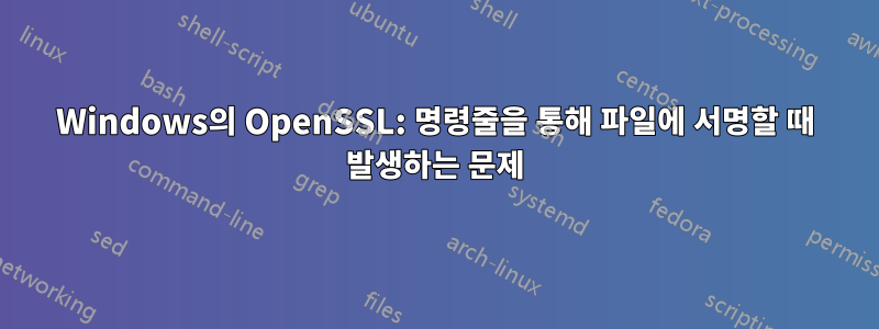 Windows의 OpenSSL: 명령줄을 통해 파일에 서명할 때 발생하는 문제