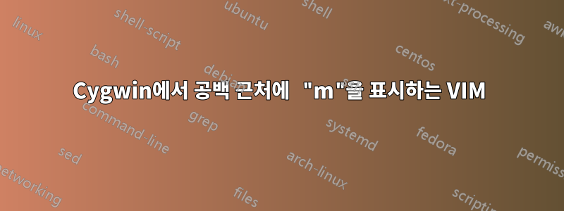 Cygwin에서 공백 근처에 "m"을 표시하는 VIM