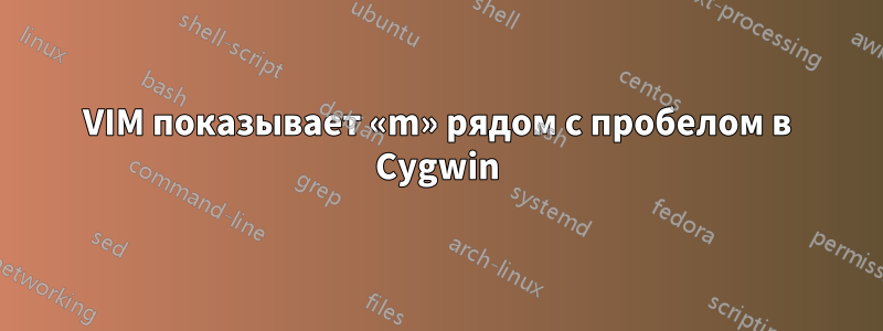 VIM показывает «m» рядом с пробелом в Cygwin