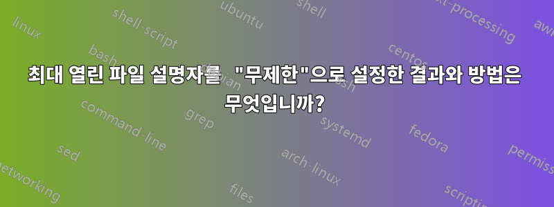 최대 열린 파일 설명자를 "무제한"으로 설정한 결과와 방법은 무엇입니까?
