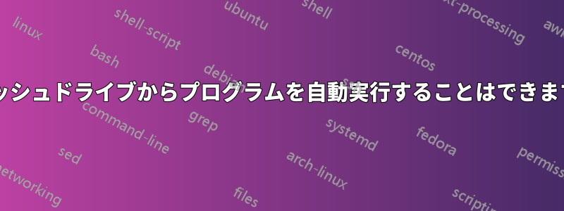 フラッシュドライブからプログラムを自動実行することはできますか?