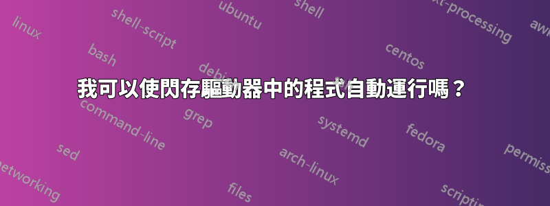 我可以使閃存驅動器中的程式自動運行嗎？