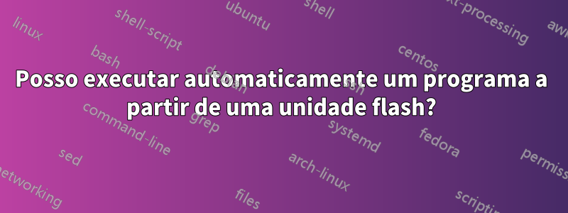Posso executar automaticamente um programa a partir de uma unidade flash?