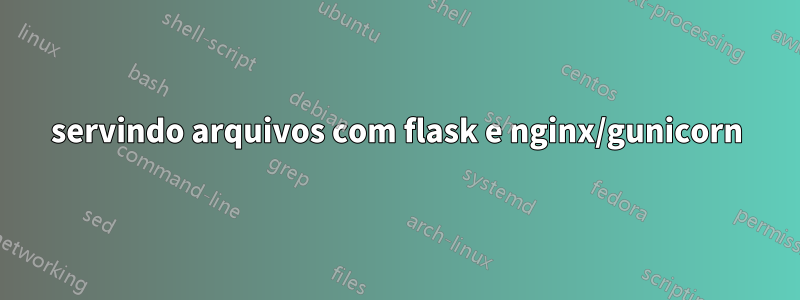 servindo arquivos com flask e nginx/gunicorn
