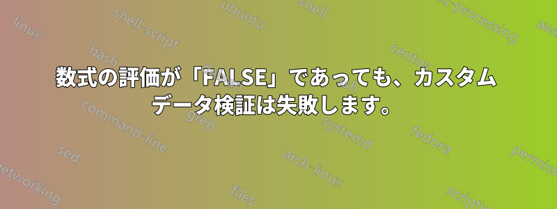 数式の評価が「FALSE」であっても、カスタム データ検証は失敗します。