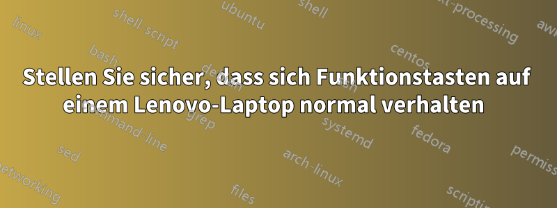 Stellen Sie sicher, dass sich Funktionstasten auf einem Lenovo-Laptop normal verhalten 