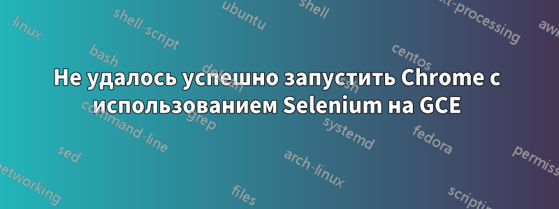 Не удалось успешно запустить Chrome с использованием Selenium на GCE