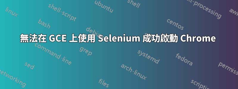 無法在 GCE 上使用 Selenium 成功啟動 Chrome