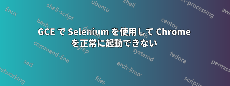GCE で Selenium を使用して Chrome を正常に起動できない