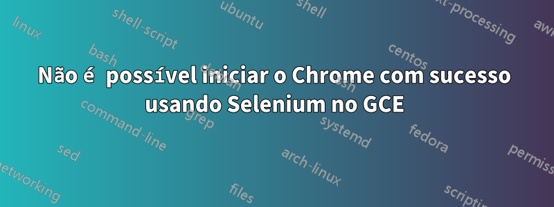 Não é possível iniciar o Chrome com sucesso usando Selenium no GCE