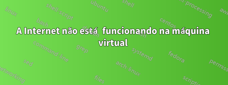 A Internet não está funcionando na máquina virtual