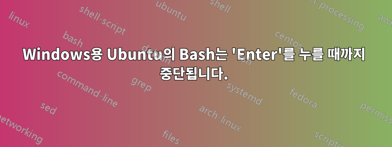 Windows용 Ubuntu의 Bash는 'Enter'를 누를 때까지 중단됩니다.