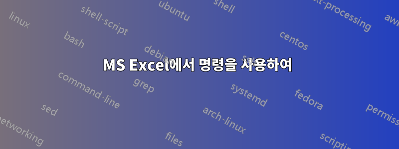 MS Excel에서 명령을 사용하여