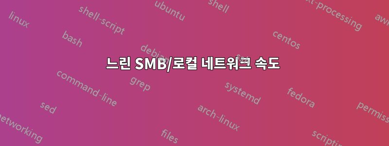 느린 SMB/로컬 네트워크 속도