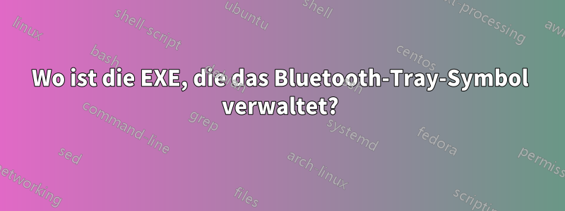 Wo ist die EXE, die das Bluetooth-Tray-Symbol verwaltet?