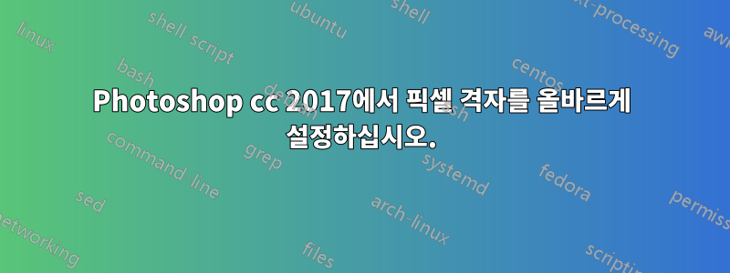 Photoshop cc 2017에서 픽셀 격자를 올바르게 설정하십시오.