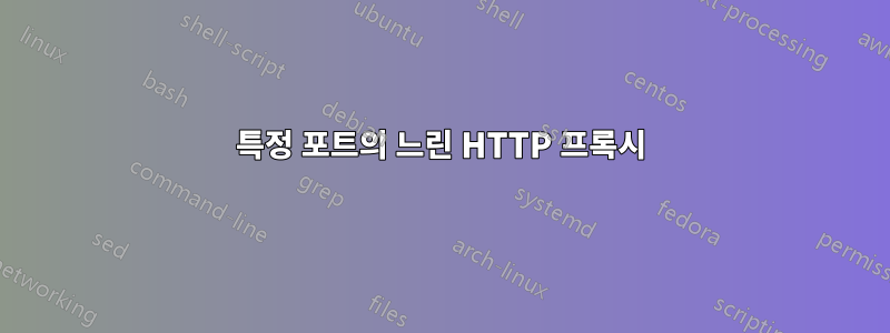특정 포트의 느린 HTTP 프록시