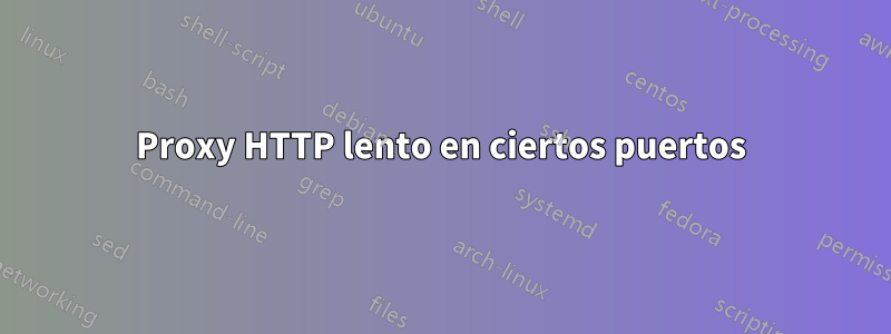 Proxy HTTP lento en ciertos puertos