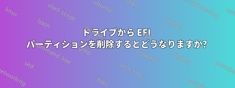 ドライブから EFI パーティションを削除するとどうなりますか?