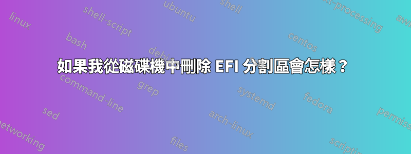 如果我從磁碟機中刪除 EFI 分割區會怎樣？