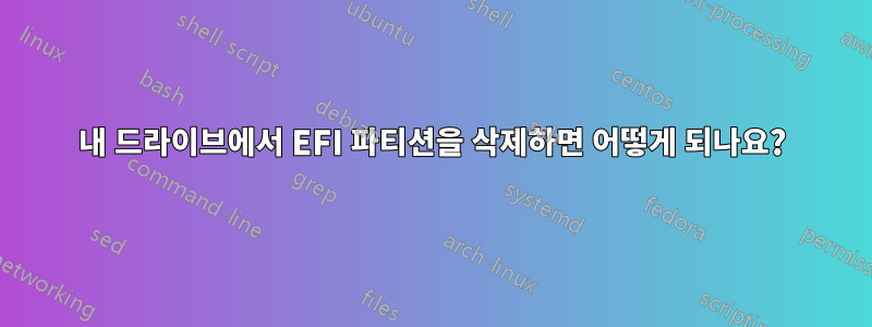 내 드라이브에서 EFI 파티션을 삭제하면 어떻게 되나요?