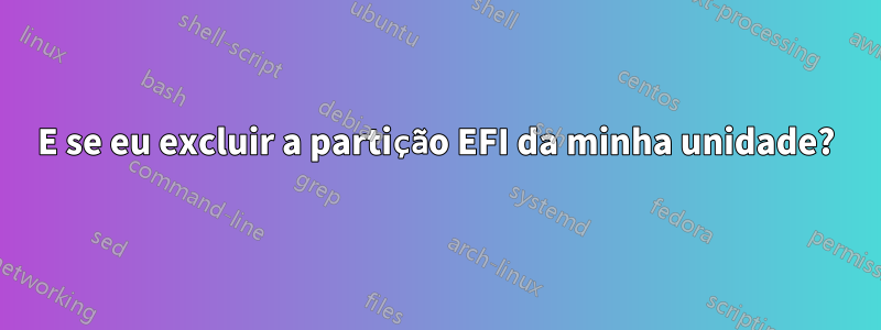 E se eu excluir a partição EFI da minha unidade?