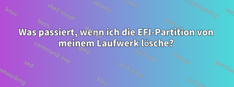 Was passiert, wenn ich die EFI-Partition von meinem Laufwerk lösche?