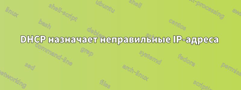 DHCP назначает неправильные IP-адреса