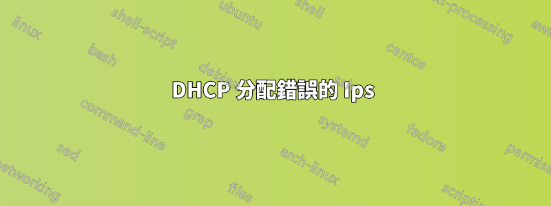 DHCP 分配錯誤的 Ips