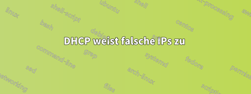 DHCP weist falsche IPs zu