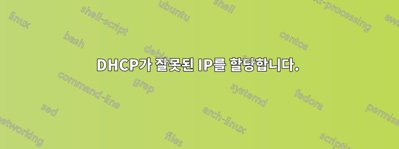 DHCP가 잘못된 IP를 할당합니다.