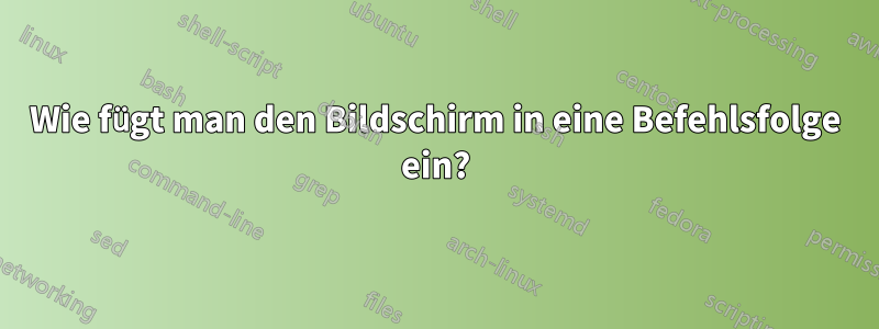 Wie fügt man den Bildschirm in eine Befehlsfolge ein?