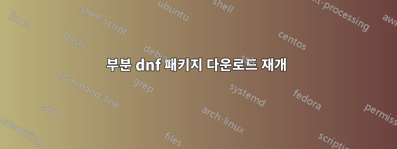 부분 dnf 패키지 다운로드 재개