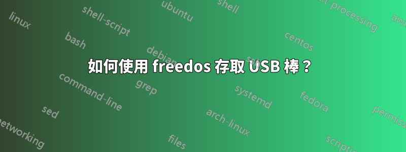 如何使用 freedos 存取 USB 棒？