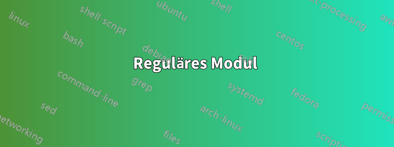 Reguläres Modul