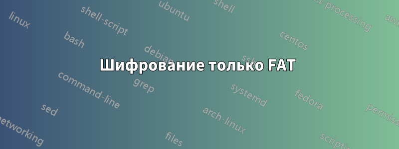 Шифрование только FAT