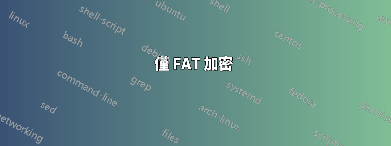 僅 FAT 加密