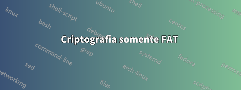 Criptografia somente FAT
