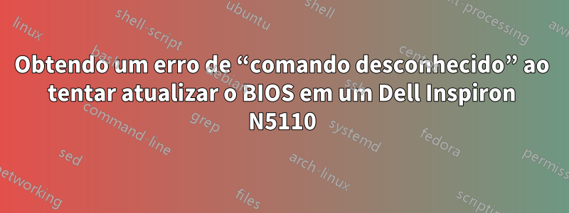 Obtendo um erro de “comando desconhecido” ao tentar atualizar o BIOS em um Dell Inspiron N5110