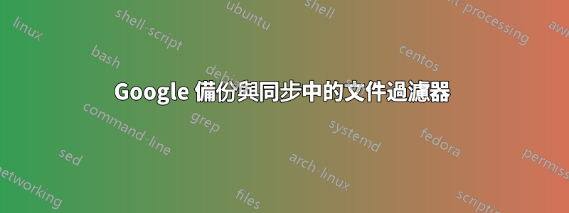 Google 備份與同步中的文件過濾器